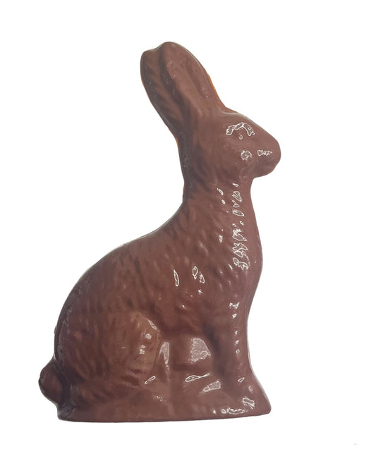 Chocolate Bunny